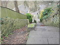 Footpath & Steps - Penistone Road