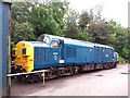 Class 37 at Buckfastleigh 