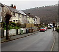 Winter view of two pollarded trees, Bryn Road, Llanfach, Abercarn