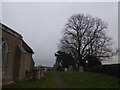 TM2336 : St Mary, Shotley: churchyard (v) by Basher Eyre