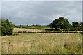 Farmland near Tetchill, Shropshire