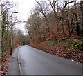 Up Cemetery Road, Abercarn