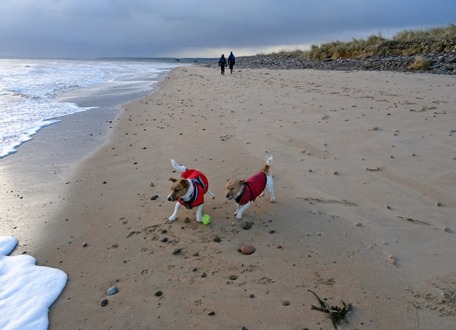 blow-the-cobwebs-away-adam-ward-geograph-britain-and-ireland