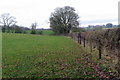 Footpath towards Foxley Mill