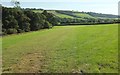 Field by Park Copse