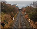 Railway cutting, Bordesley