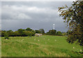 Pasture south-west of Tetchill, Shropshire