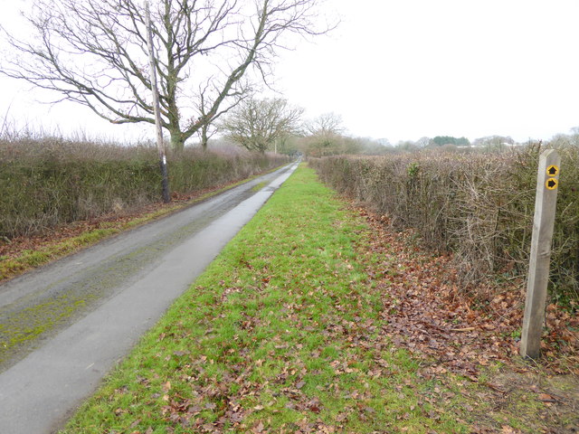 Looking north on the drive to Morley Farm