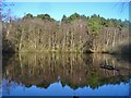 Puttenham Common - General