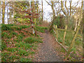 Daff Glen footpath