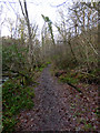 Daff Glen footpath