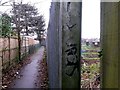 West Southbourne: allotment fence alongside footpath I03