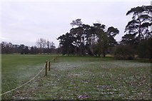 SP5107 : University Parks on a frosty morning by DS Pugh