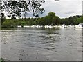 The River Thames near Hurley