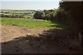 Field above Lower Hill