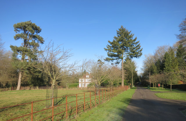 Driveway at Inholmes Holt