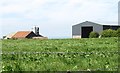 Farm outbuildings on the west side of Cargaclogher Road