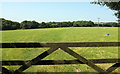 Sheep pasture, Pinsla Park