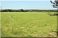 Pasture, Pinsla Park