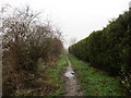 Bridleway to Newark Road