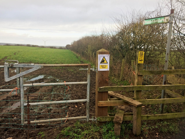 Bull in field (public footpath) © Steve Fareham cc-by-sa/2.0 ...