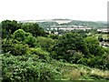 View from Meadowview over Moulsecoomb