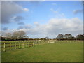 Paddocks off Common Lane, Burn