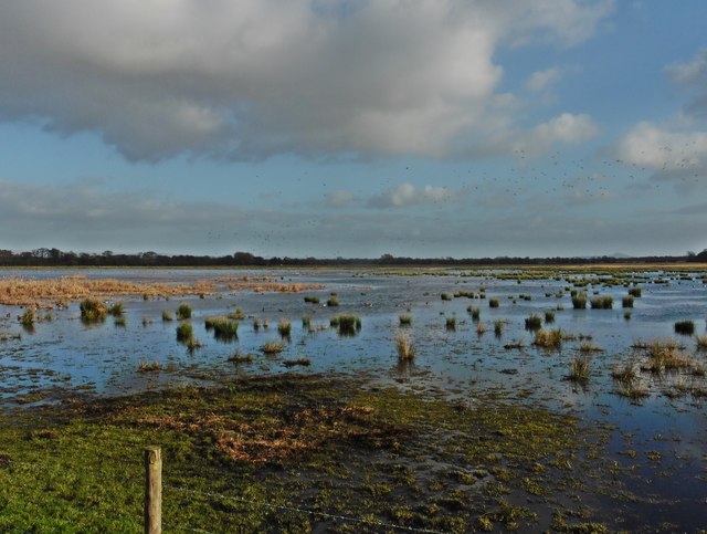 The view from Catcott hide