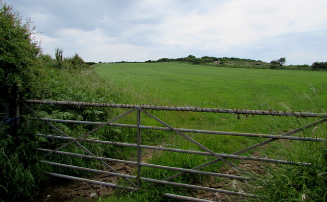 No sitting on this field gate near Bubbleton, Pembrokeshire