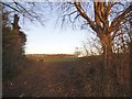 Field by Woodcock Hill, Sandridge