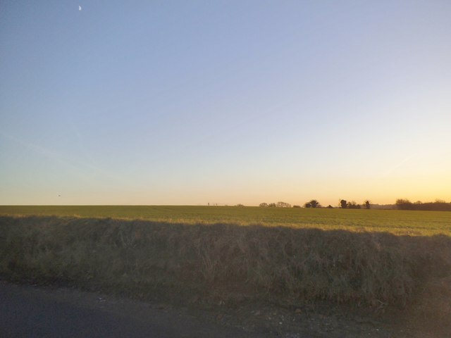 Field by Woodcock Hill, Sandridge