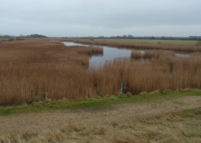 Reeds and wetland north of Thorney... © Rob Farrow cc-by-sa/2.0 ...