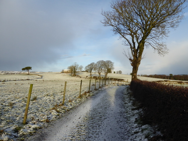 Country lane, Carony © Kenneth Allen :: Geograph Ireland