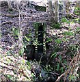 Stream cascade, Brede High Woods