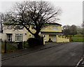 Tree and houses at the NE end of Llanfach Road, Llanfach, Abercarn