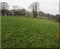 Field and trees beyond the NE end of Llanfach Road, Llanfach, Abercarn