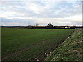 View towards Little Bustard Farm