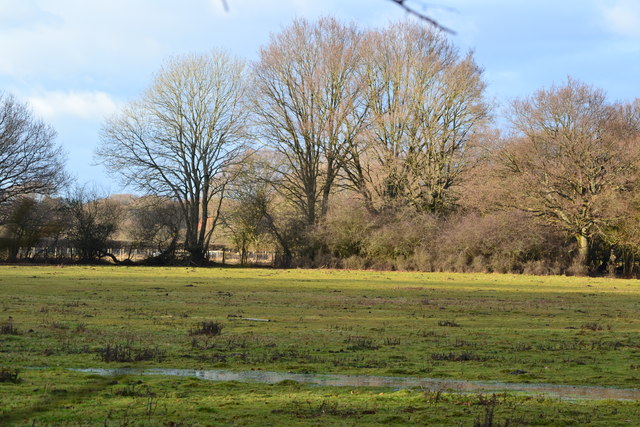 Waterlogged field near Deep Dene Farm