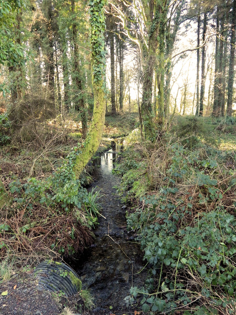 Stream in Garries Wood