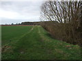 Farm track (footpath) beside Kilnwick New Cut