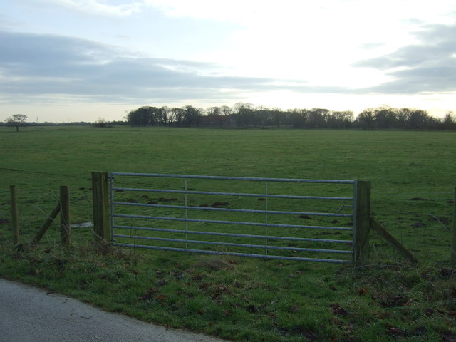 Field entrance off Little Lane, Watton © JThomas :: Geograph Britain ...