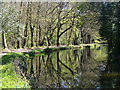 Brookwood - Basingstoke Canal