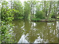 Pond near Sherfield English