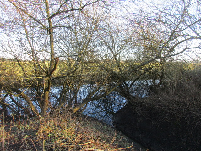 A glimpse of the River Derwent
