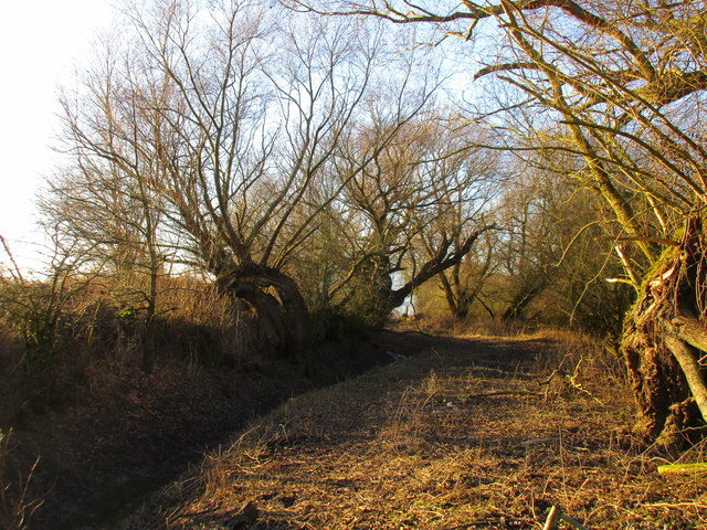 Footpath from the river