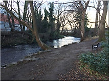 NT2170 : The Water of Leith at Slateford by John Allan