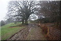 Muddy path to Tittensor