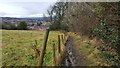 Footpath descending from Fellside