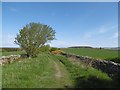 Road over Whitsunbank Hill