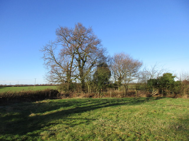 Trees around a pond near Menthorpe © Jonathan Thacker :: Geograph ...